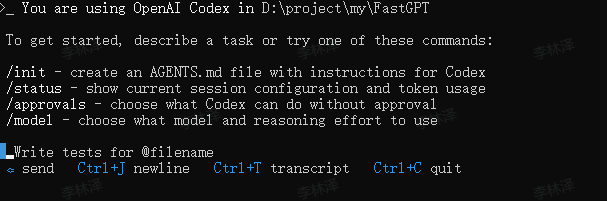 启动 Codex