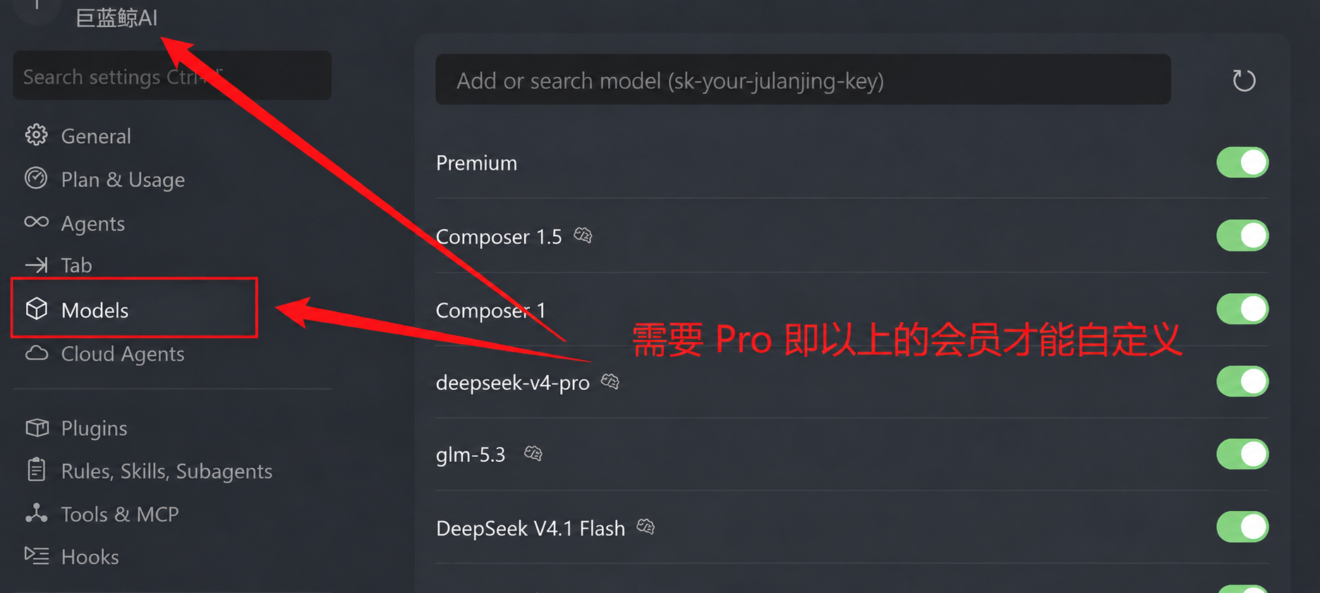 Cursor 设置和模型入口
