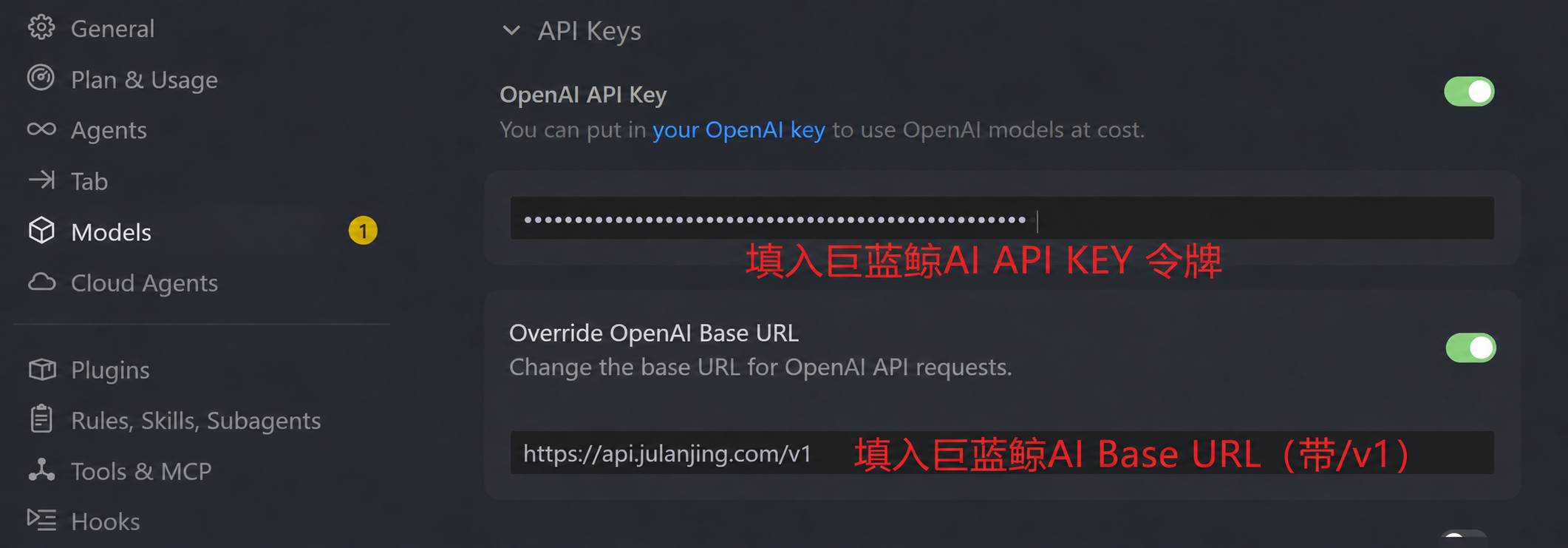 Cursor 自定义 API Key 与 Base URL 配置