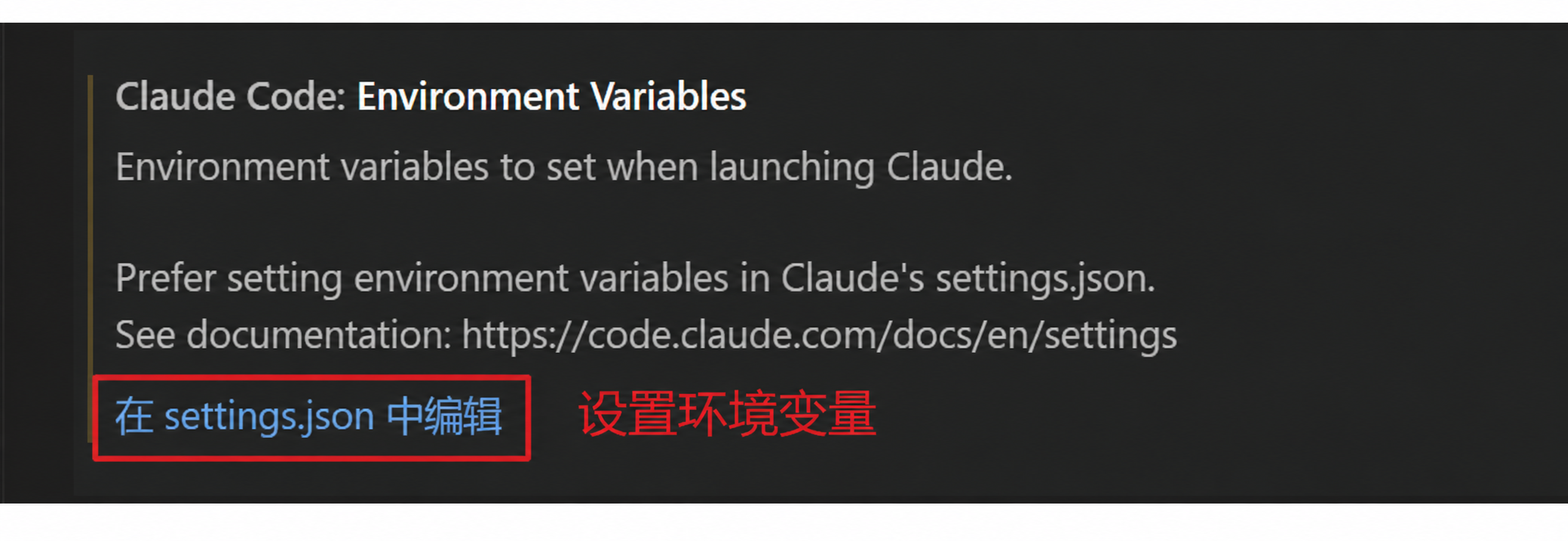 在 settings.json 中编辑环境变量