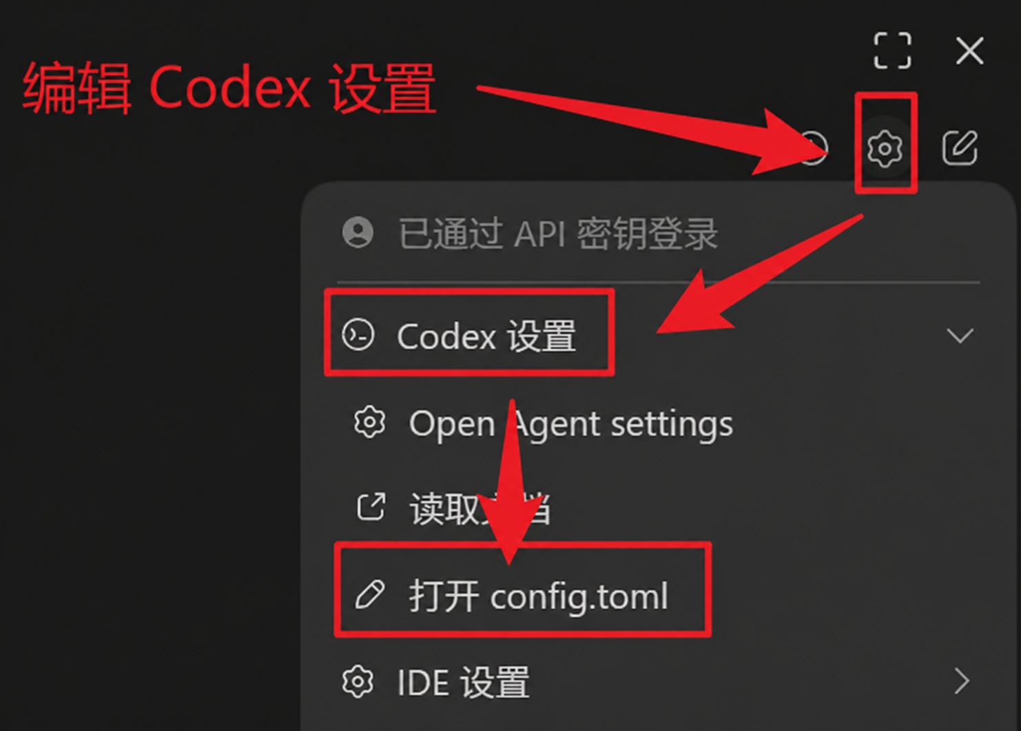 编辑 Codex 设置