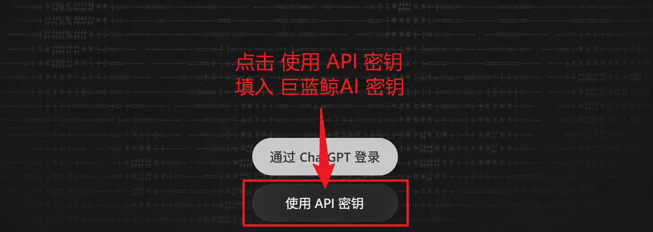 选择使用 API 密钥登录